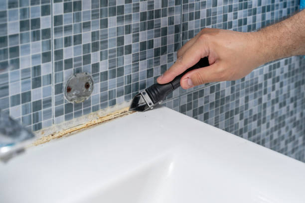 Best Water Damage Restoration  in Cape Girardeau, MO